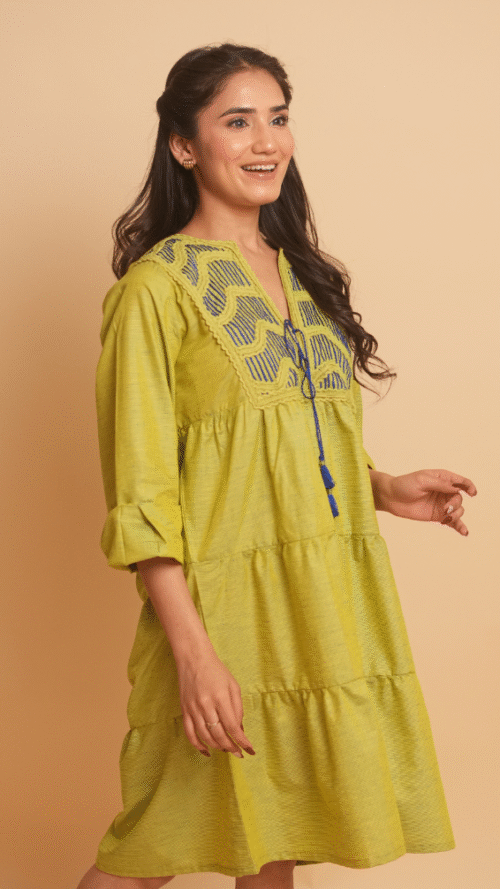 Embroidered Mini Dress